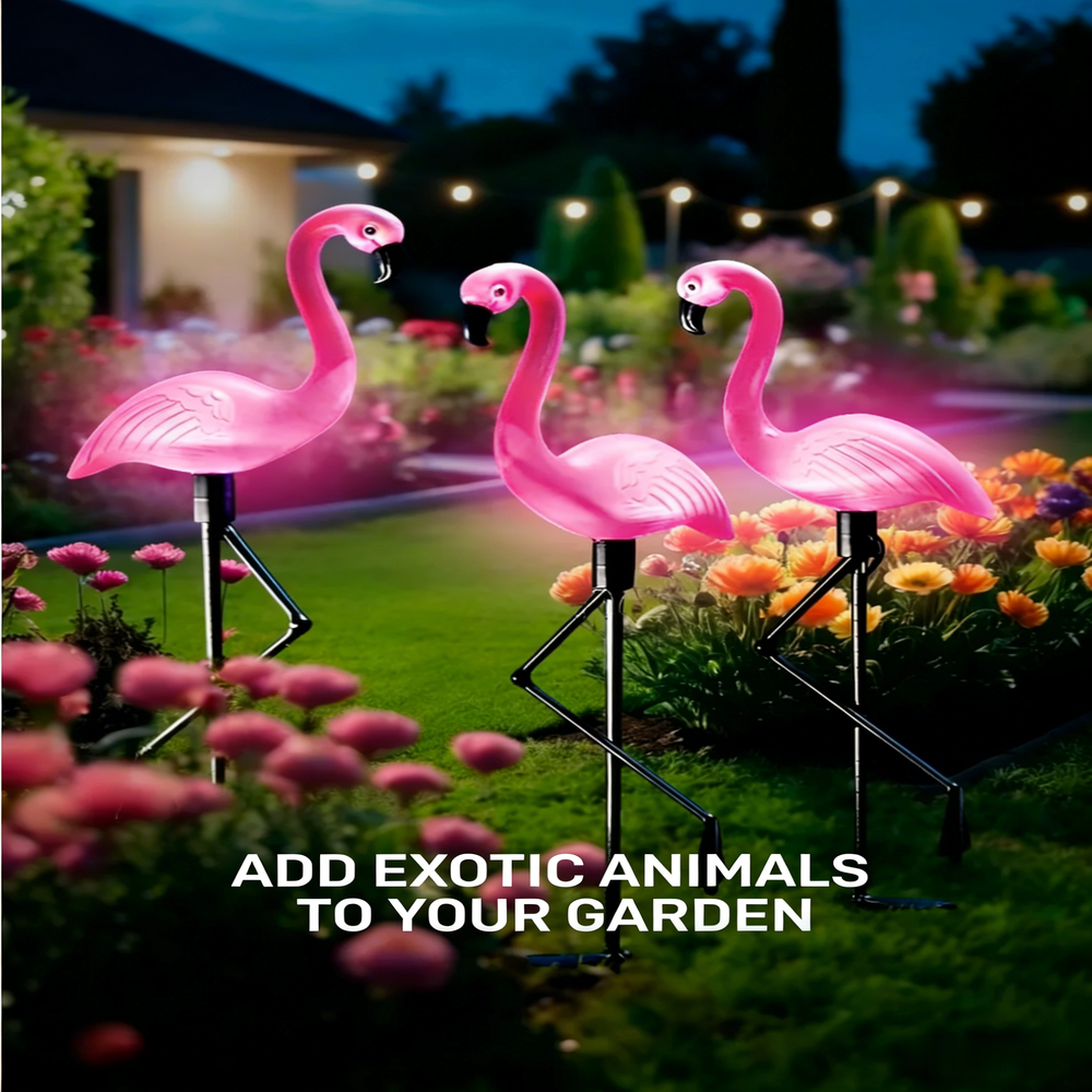 3Pcs Solar Powered Flamingo Gr – Renewable Energy Solar recenzja i cena