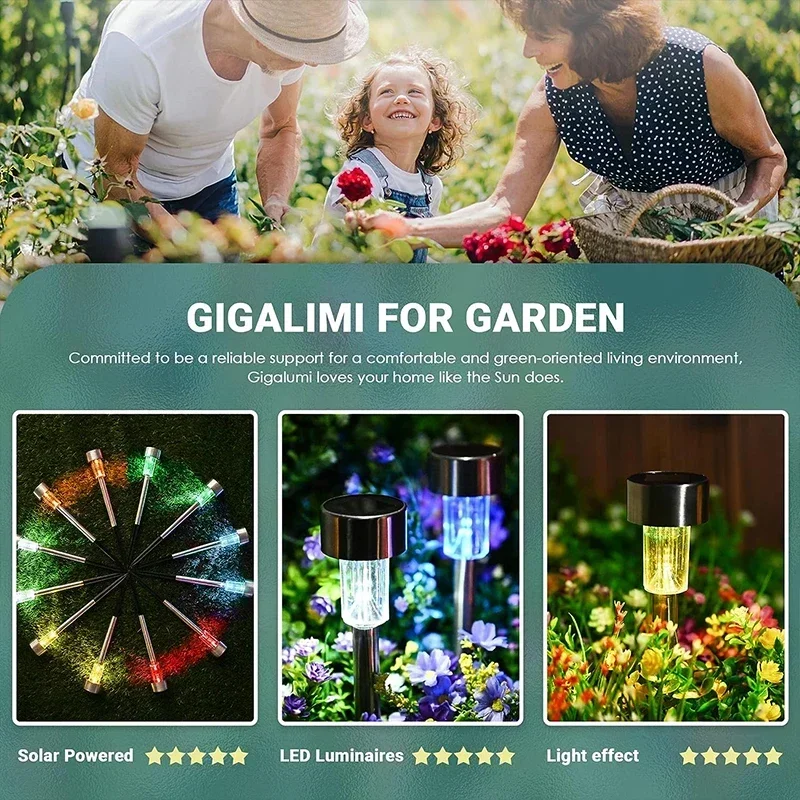 Solar Outdoor Lights Garden La – Renewable Energy Solar recenzja i cena